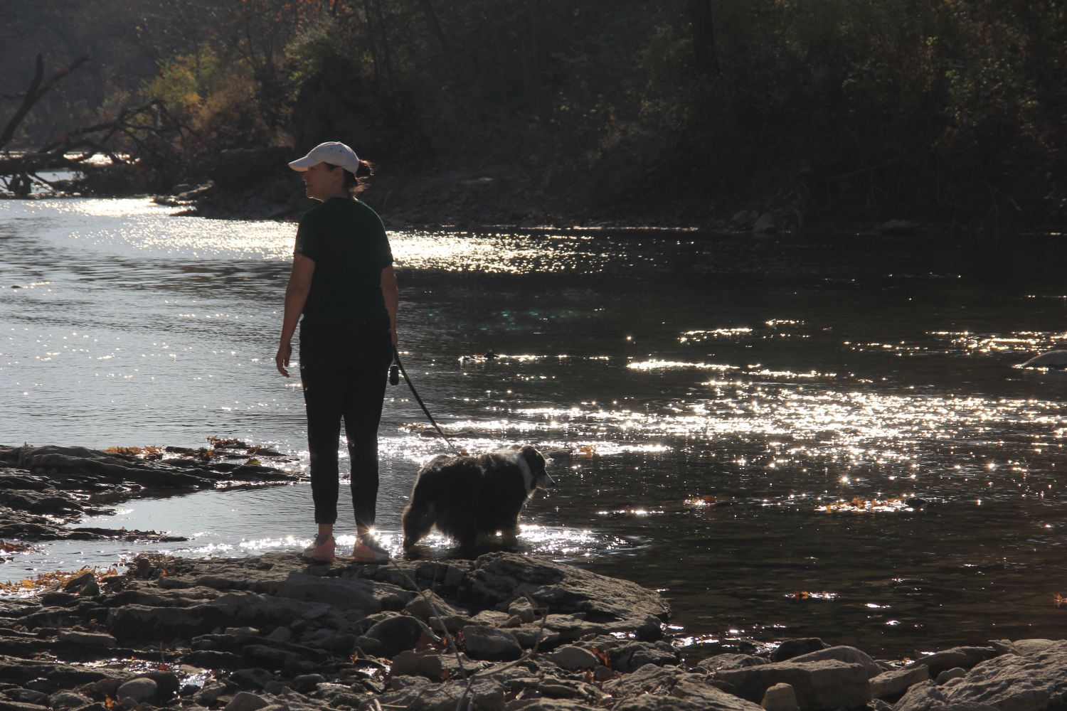 Matthiessen 